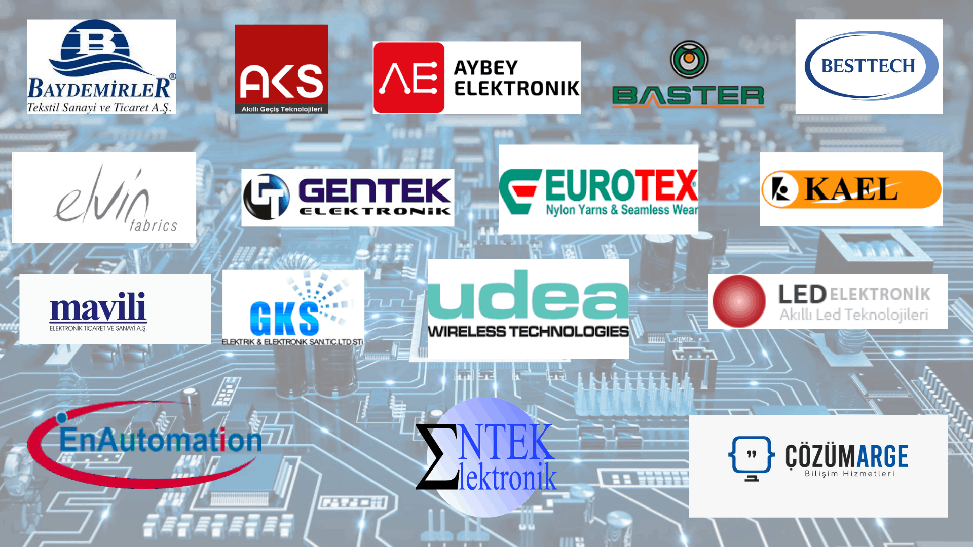 Entek Elektronik